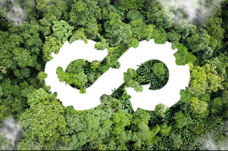 UPS Systems are Supporting the Circular Economy